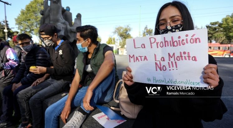 Buscan legalizar consumo lúdico y medicinal de mota en Toluca