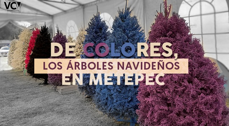 De colores, los árboles navideños en Metepec